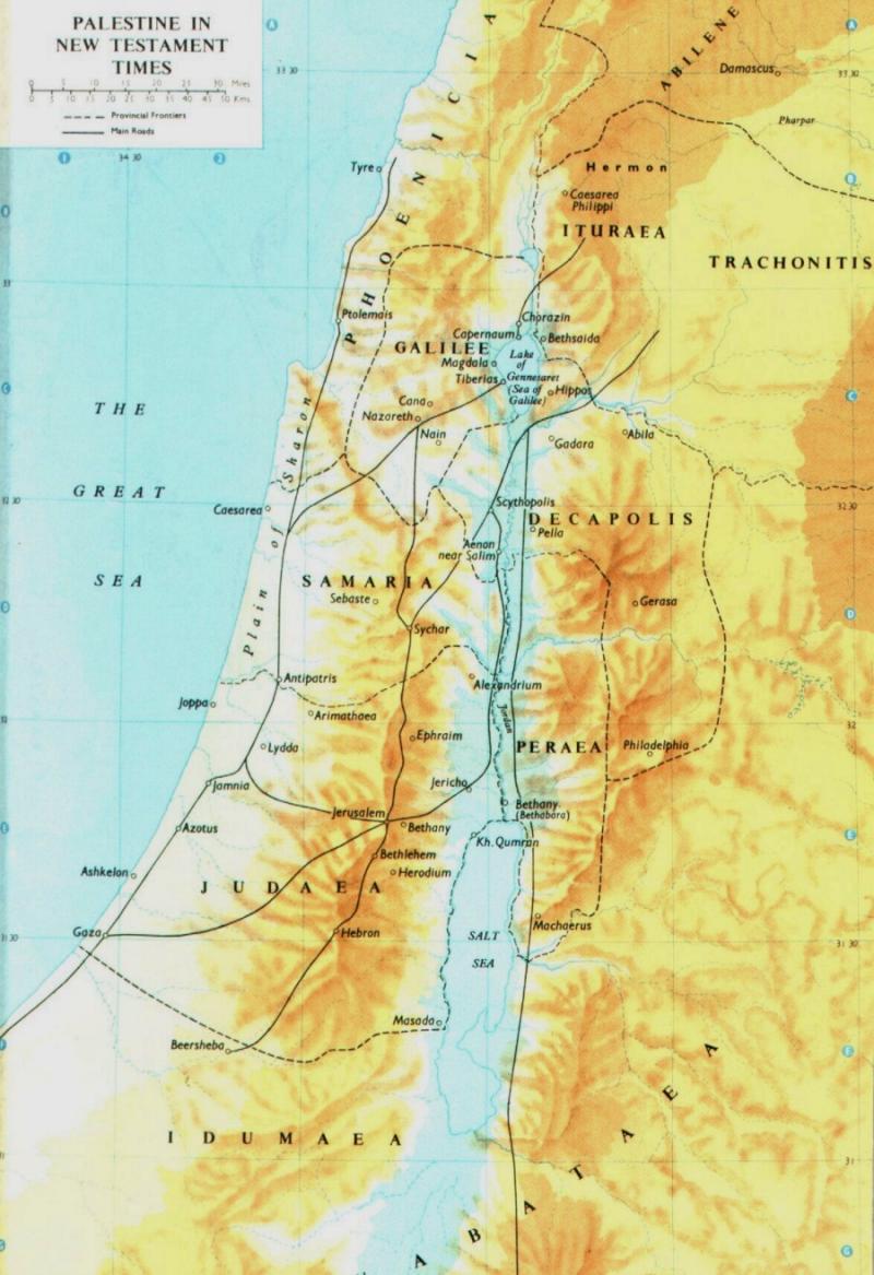 palestine carte historique carte
